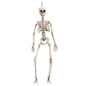 Esqueleto Halloween