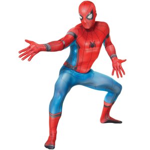 Disfraz Spiderman
