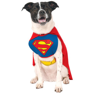 Perro Superman