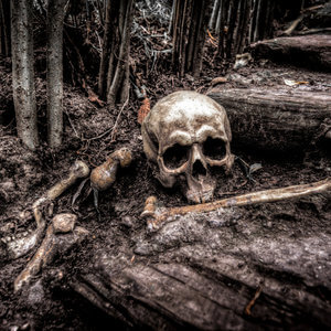 Calavera sobre huesos