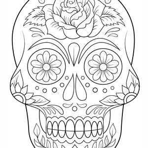 Imagen calavera flores