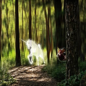 Unicornio en bosque