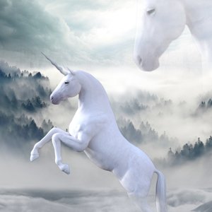 Unicornios blancos